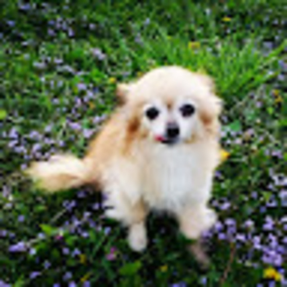 Meet your Posher, Kelly - Picture 1 of 1